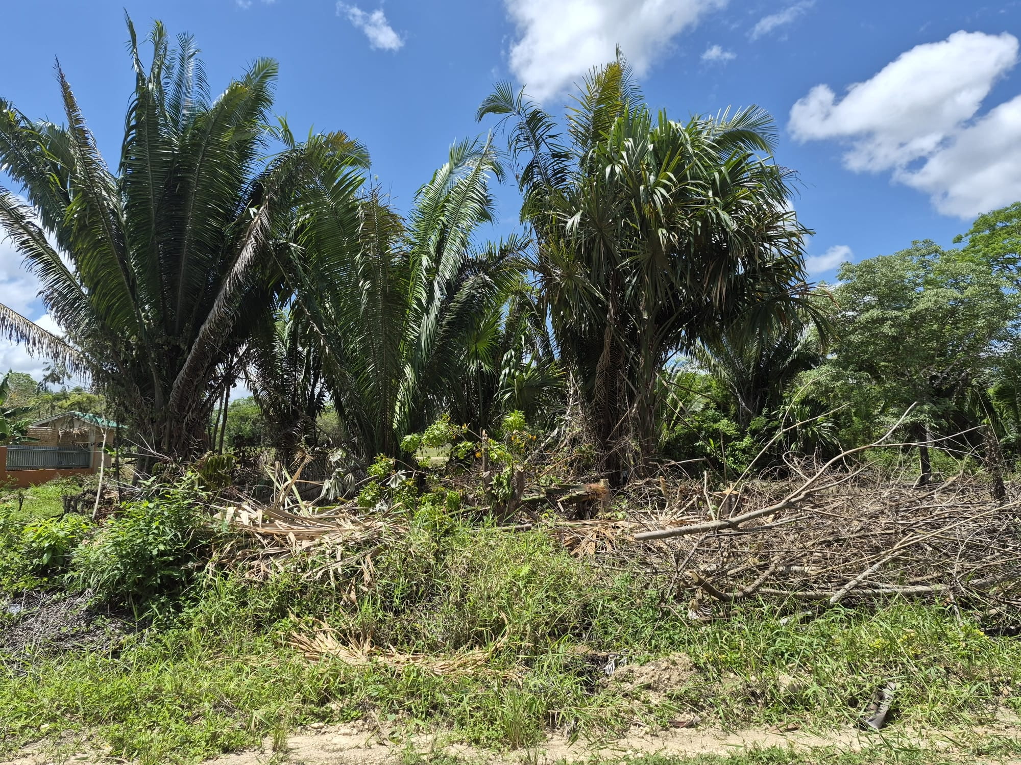Titled Residential Lot - photo 1